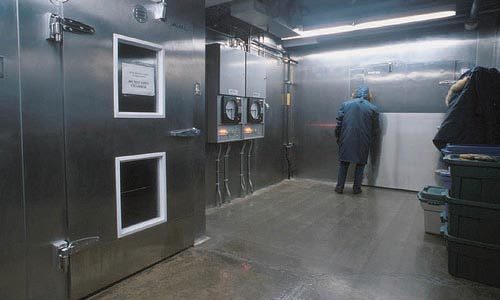 Modular Cold Room