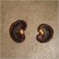 Cashew Nut Shell