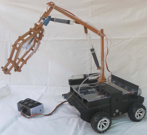 HYDRAULIC ARM