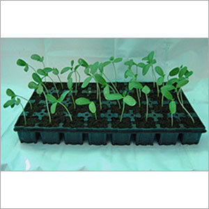 Plastic Seedling Trays Plastic Seedling Trays