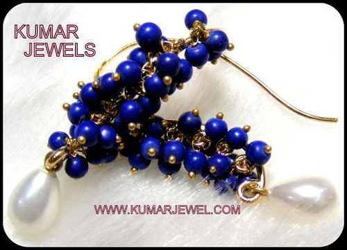 Dark Color Earrings