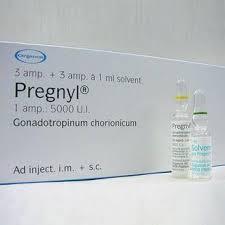 Pregnyl Injection
