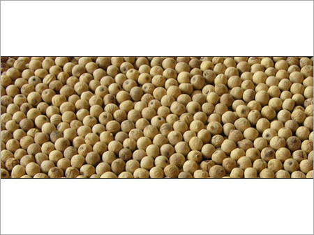 White Pepper