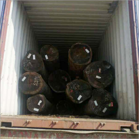 Guyana Sal Wood Log
