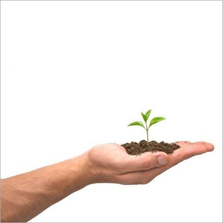 Life Insurance