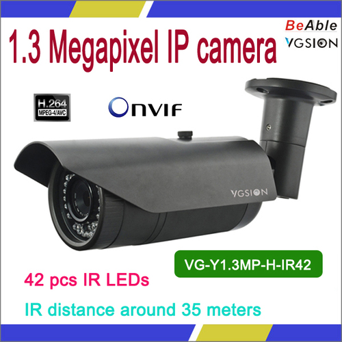 Day & Night Outdoor 720P IP camera