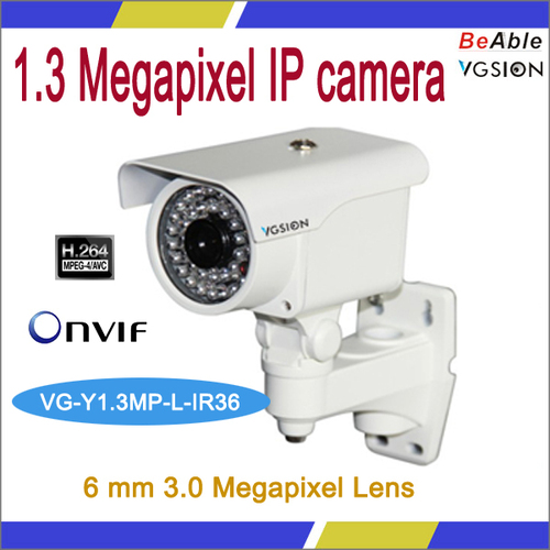 Outdoor Day & Night IP Camera - 1/3-inch CMOS, 6mm Lens, 1280x960, IP66 | Night Vision, 36 IR LEDs, 60m IR Range, ONVIF, Remote Access