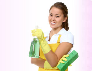 PARAFIX RSR RUST STAIN REMOVER