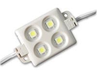 LED Modules