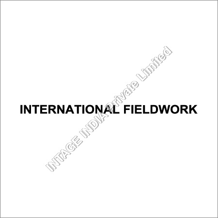 International Fieldwork