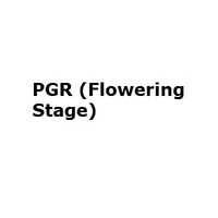 PGR (Flowering Stage)