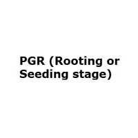 PGR (Rooting or Seedling stage)