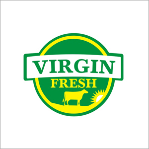 Custom Logo Design