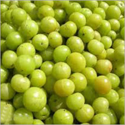 Indian Gooseberry