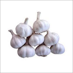 White Garlic