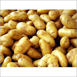 Yellow Potato