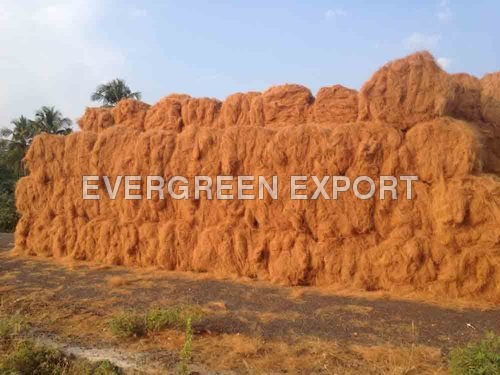 Coconut Coir Fibre