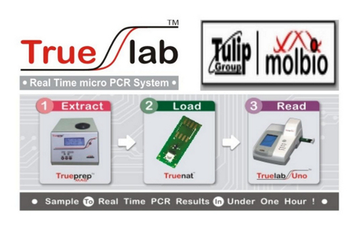 Real Time Micro PCR System