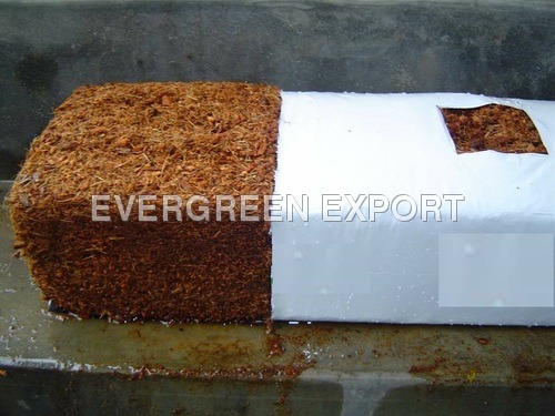 Coco Peat