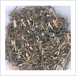 Ayurvedic Herb Kalmegh