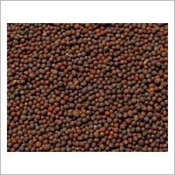 Mustard Seed