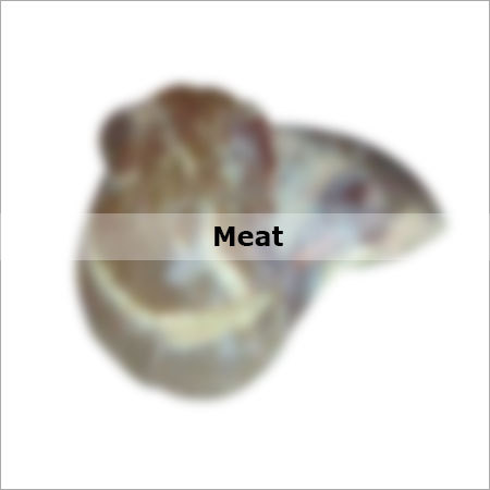 Meat