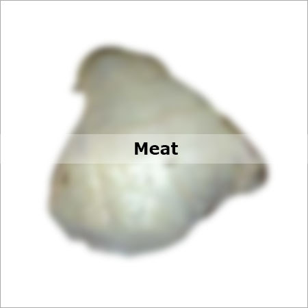 Meat