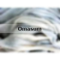 Omasum