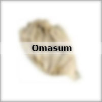 Salted Omasum