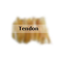 Tendon