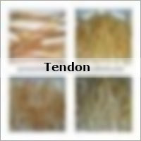 Buffalo Tendons