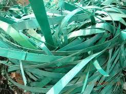 Pet Strap Scrap