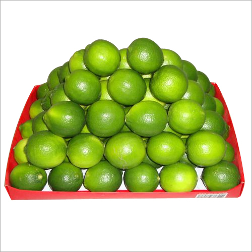 Fresh Seedless Lime