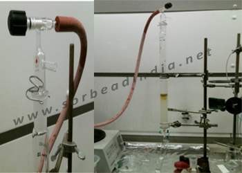 Chromatography Adsorbents