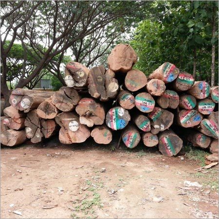 Timber, Timber Products & Plank