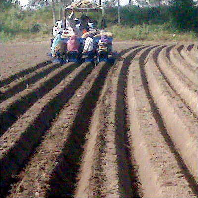 Chisel Cultivator