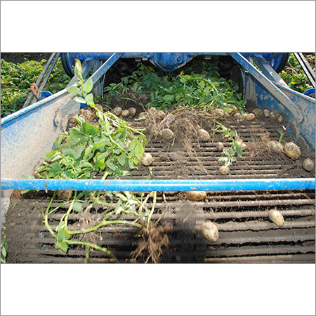 Potato Harvester