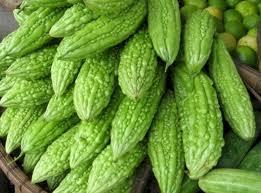 Bitter gourd