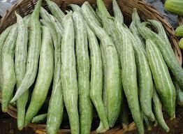 Snake gourd
