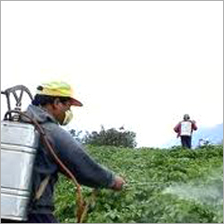 Pesticides