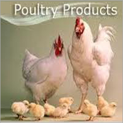 Poultry Feed Application: Fodders