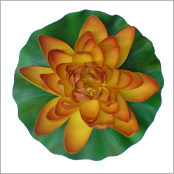 Floating Flowers