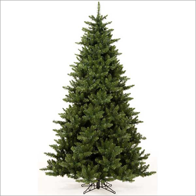  Christmas Trees
