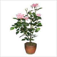 Airtificial Rose Tree