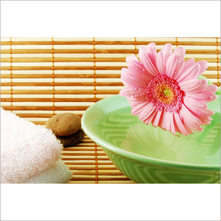 Spa Marketing Support