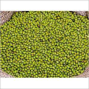 Moong Seeds