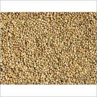 Guar Gum Seeds - High Purity, Irregular Shape, Variable Size | Dough Improver, Texture Enhancer, Low Moisture, Reliable Fiber