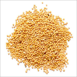 Yellow Mustard Seeds