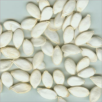 Watermelon Seeds