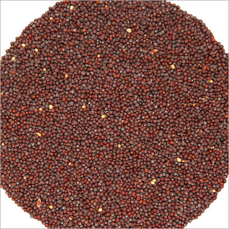 Mustard Seeds